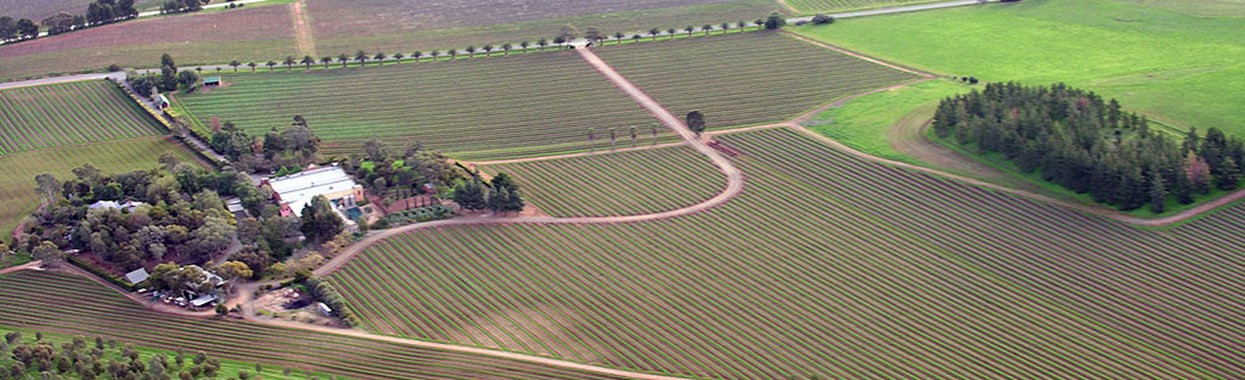 You're viewing Rural rough sleeping is on the rise  Rural rough sleeping is on the rise