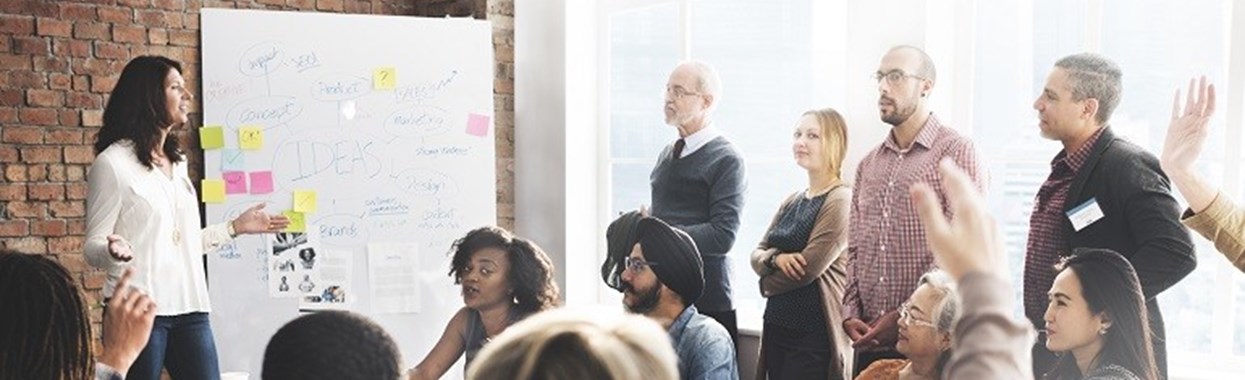 You're viewing Homeless Practice Incubator Project - Legislative Theatre Homeless Practice Incubator Project - Legislative Theatre