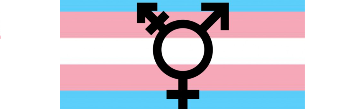 You're viewing Spotlight on Transgender Awareness - London Spotlight on Transgender Awareness - London