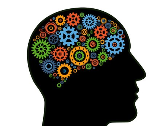 Developing an Understanding of Brain Injury 